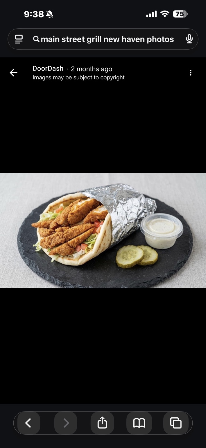 Crispy chicken pita with pickles and dressing