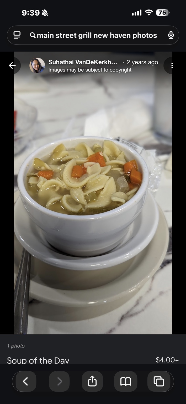 A bowl of homemade soup with noodles and vegetables